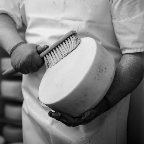 Salting and Maturation