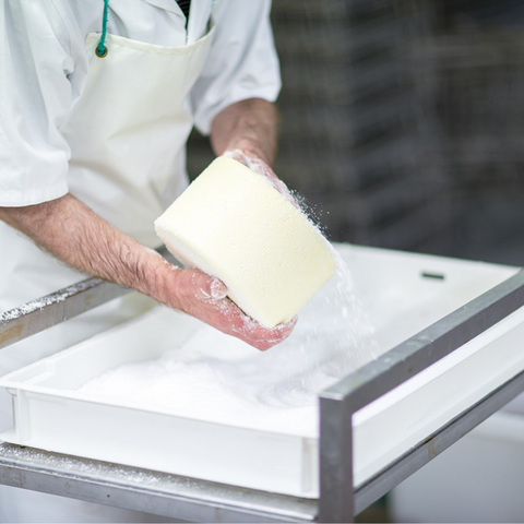 Shaping the cheese – Moulding